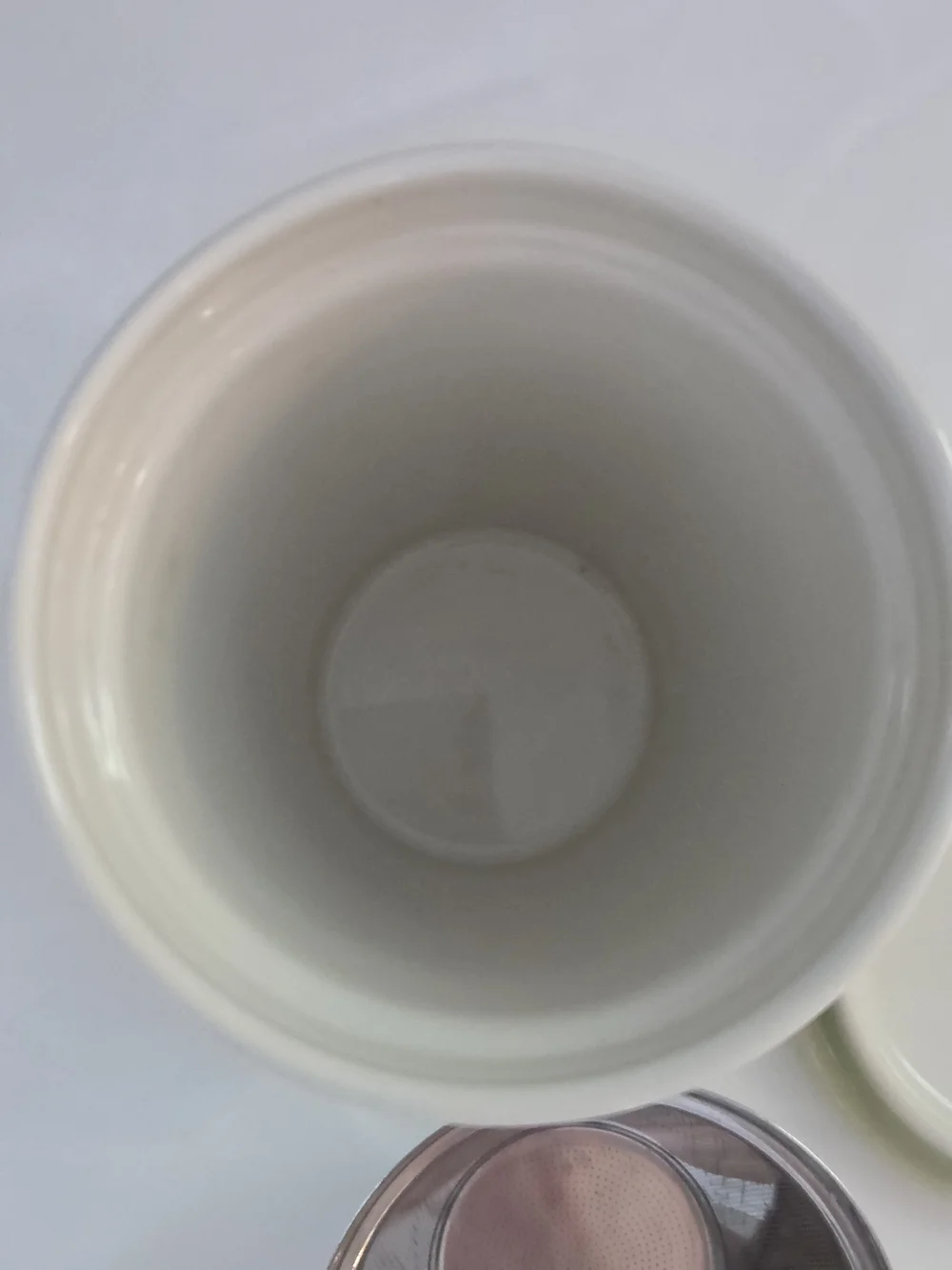 Birdsong KATI Steeping Cup and Infuser